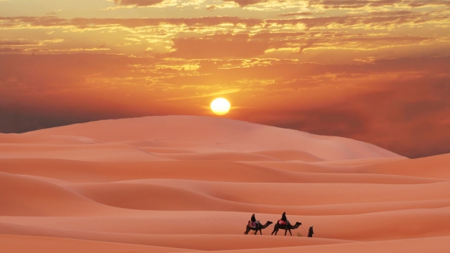 Majestic Journeys: Exploring Morocco’s Desert Treasures