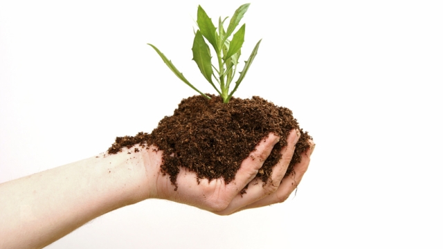 The Green Revolution: Unlocking the Power of Organic Soils and Fertilizers