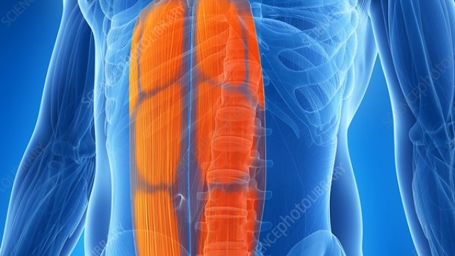 Flatten Your Tummy: Unveiling the Wonders of Abdominoplasty