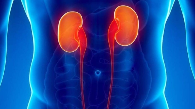 The Ultimate Guide to Understanding Urology: Everything You Need to Know