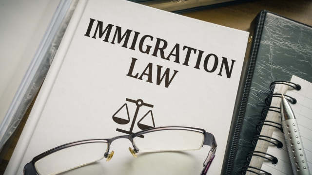 Navigating the Immigration Maze: A Comprehensive Guide to Immigration Law