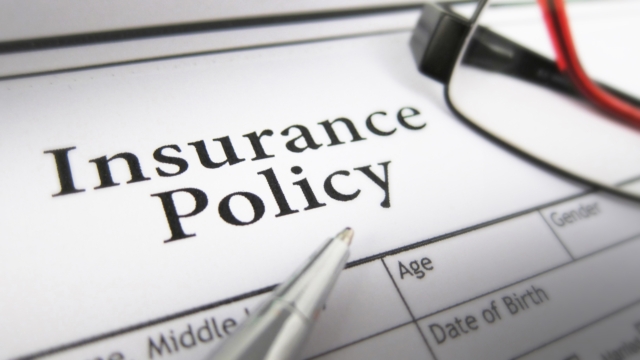 Shielding Your Small Business: The Importance of Liability Insurance