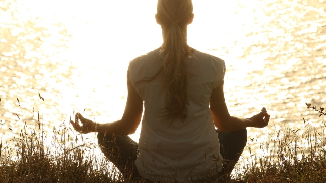Introduction to Yoga Alignment Tools What They Are and Why They Matter