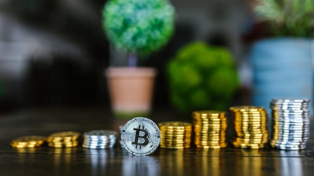 Overview of Mutuum Coin