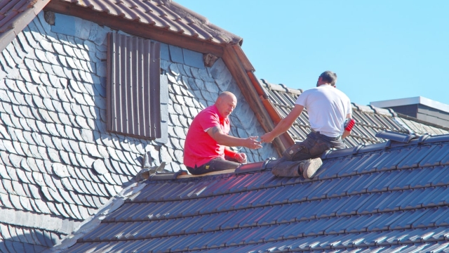 The Essential Guide to Quality Gutter Solutions Insights from royal gutters.com