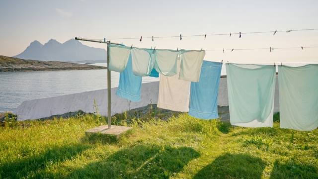 Types of Car Wash Services An Overview