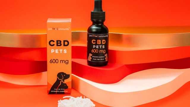 Benefits of Regular Exercise for Pets